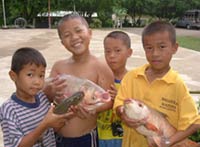 Boys in Thailand