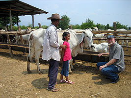 Heifer Project